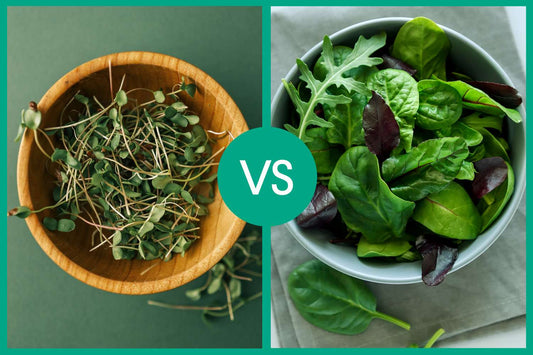 Why Are Microgreens More Expensive Than Regular Vegetables?